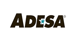 ADESA auction integration in Laser Appraiser