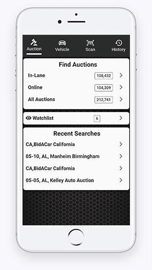 Wholesale auction run list shown in Laser Appraiser